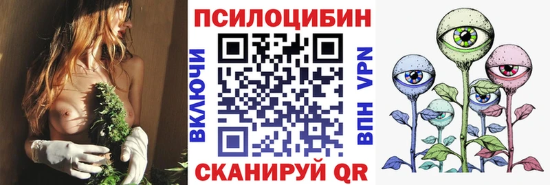 shop как зайти  Тетюши  гидра рабочий сайт  Галлюциногенные грибы Psilocybe  продажа наркотиков 